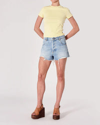 Rolla's Duster Shorts in Bowery Vintage