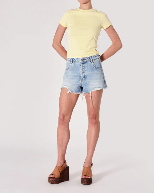 Rolla's Duster Shorts in Bowery Vintage
