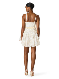 Steve Madden Kirsty Dress