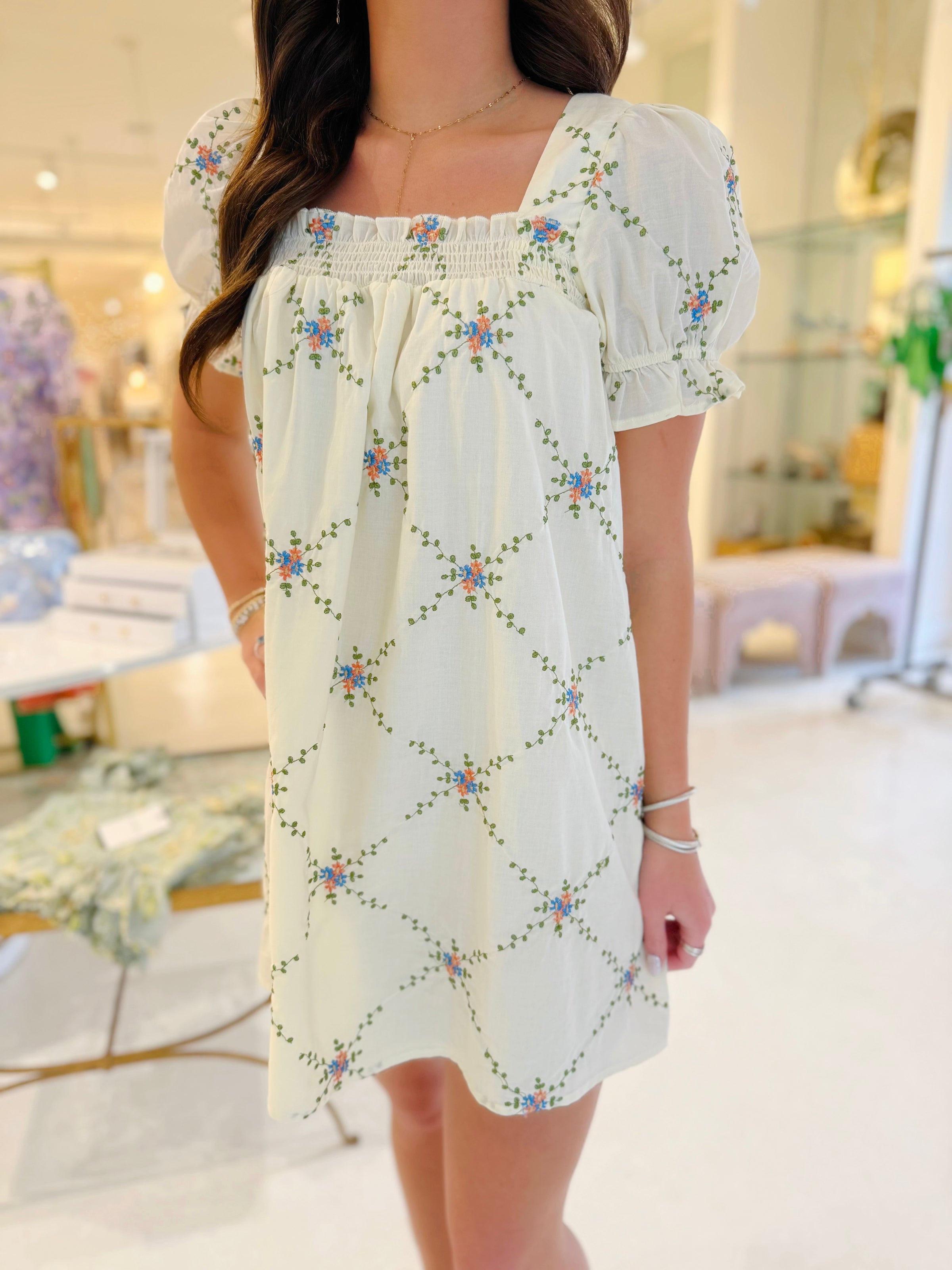 Morgan Embroidered Mini Dress