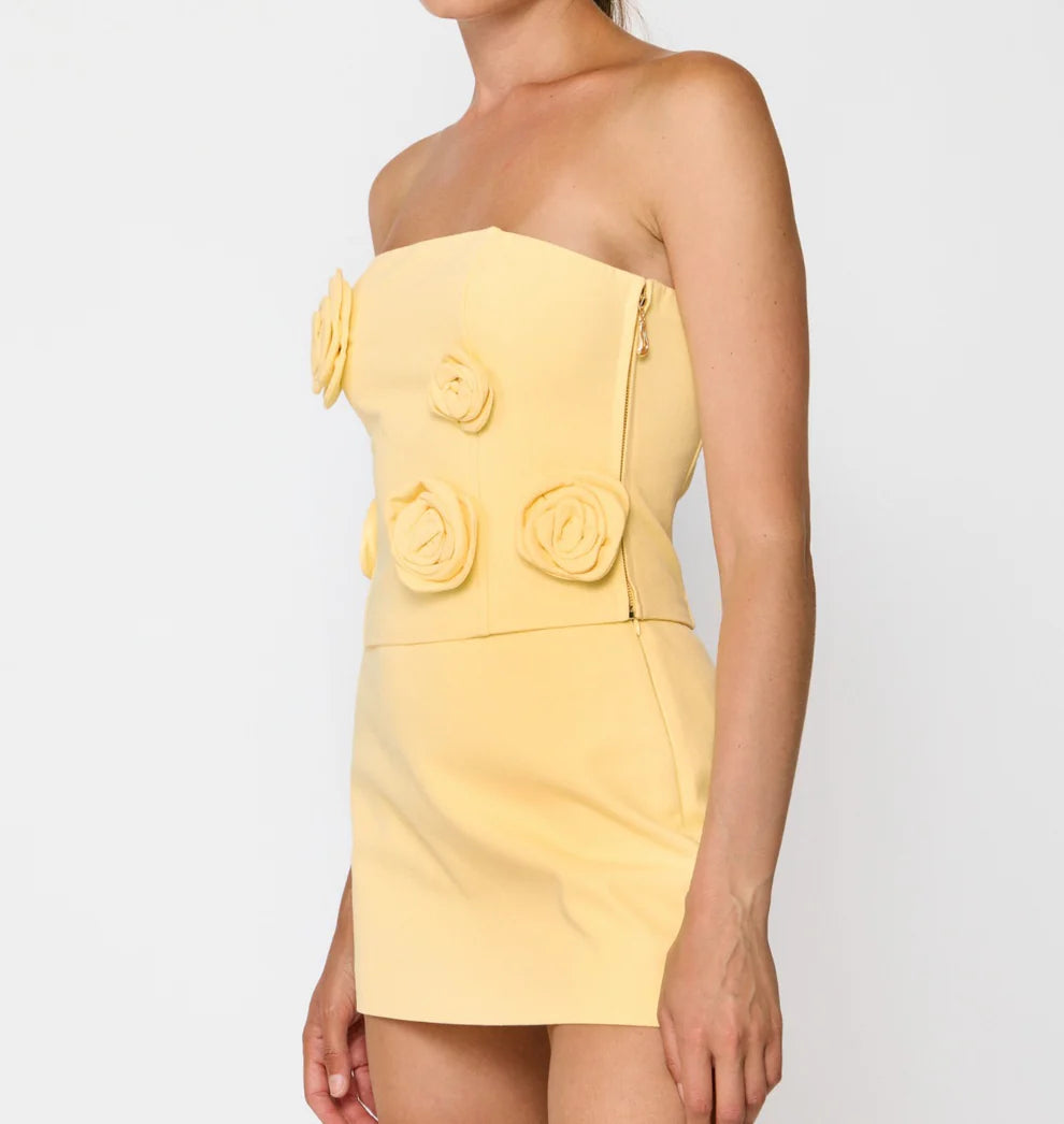 Line & Dot Eleodra Tube Top and Skirt Set