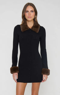 Show Me Your Mumu Christie Mini Dress